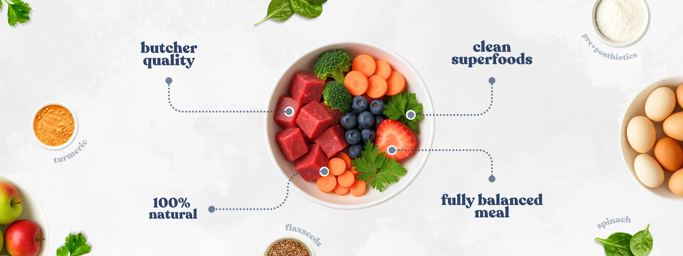Superfood Nutrition for Every Dog